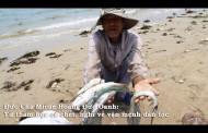 Video: Đức Cha Micae Hoàng Đức Oanh: Từ thảm họa cá chết, nghĩ về vận mệnh dân tộc