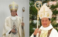 ĐTC Phanxicô chuyển đổi giám mục giáo phận Lạng Sơn và Đà Nẵng