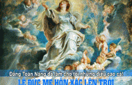 Lễ Đức Maria hồn xác lên trời: Các bài suy niệm Lời Chúa
