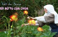 Viết cho Soeur – Người Nữ tu của Chúa