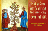 Chúa nhật XI thường niên, năm B: Các bài suy niệm & chú giải Lời Chúa