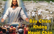 Chúa nhật XVI thường niên, năm B: Các bài suy niệm & chú giải Lời Chúa