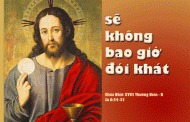 Chúa nhật XVIII thường niên, năm B: Các bài suy niệm & chú giải Lời Chúa