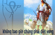 Chúa nhật IV Phục Sinh, năm C: Các bài suy niệm & chú giải Lời Chúa