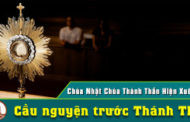 Cầu nguyện trước Thánh Thể- Ngày 23.5.2021 – Lễ Chúa Thánh Thần Hiện Xuống – Ga 20,19-23